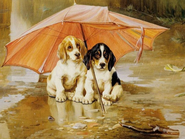 Картина по номерам 40х50 Непогода (21 цвет)