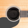 Демпфер для розетки акустической гитары PLANET WAVES PW-SH-01