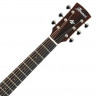 IBANEZ AW54JR-OPN акустическая гитара