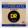 Комплект струн для акустической гитары DR RCA-10, 10-48