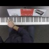 Цифровое пианино Kawai CN25B 88 клавиш, 192 полифония