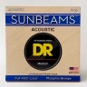 Комплект струн для акустической гитары DR RCA-13, 13-56
