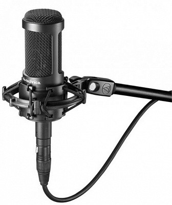 AUDIO-TECHNICA AT2050 микрофон студийный вокальный конденсаторный