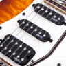 SCHECTER BANSHEE-6 FR EXTREME VSB электрогитара