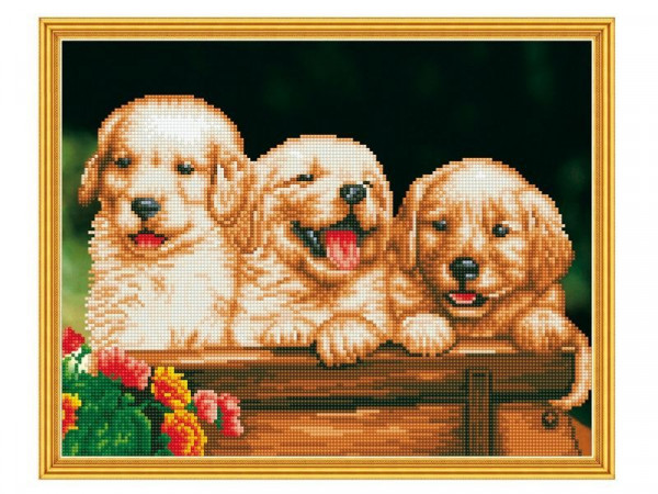 Алмазная мозаика с нанесенной рамкой 40х50 НЕРАЗЛУЧНЫЕ (25 цветов)