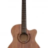 BULLDOG WS-Delta 3EQ электроакустическая гитара