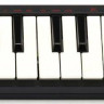 AKAI PRO LPK25, портативная USB/MIDI-клавиатура, 25 чувствительных мини-клавиш, арпеджиатор, кнопка сустейна, питание по USB