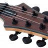 SCHECTER C-1 EXOTIC TREM EBONY электрогитара