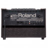 ROLAND AC-60-RW Комбо для акустических гитар, стерео, 2х30 Вт