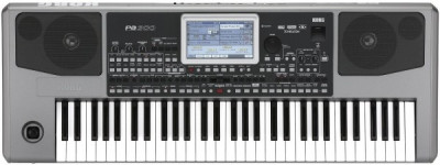 Рабочая станция KORG Pa900