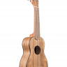 KALA KA-PWS Kala Pacific Walnut Soprano Ukulele укулеле-сопрано