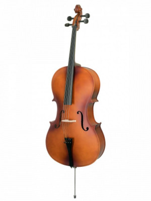 ANTONIO LAVAZZA CL-280A 4/4 виолончель в комплекте