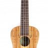 KALA KA-SMC Kala Spalted Maple Concert Ukulele укулеле-концерт