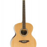 Virginia V-J22 джамбо акустическая гитара