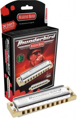 Губная гармошка HOHNER Marine Band Thunderbird Low Low F (M201175X) с уроками