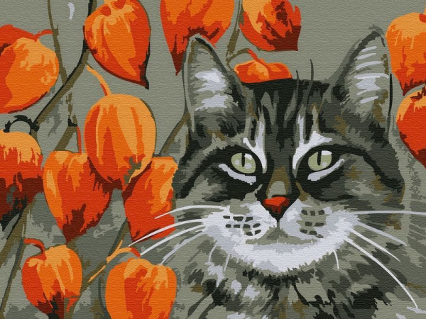 Картина по номерам 15х20 МЕЧТАТЕЛЬ (12 цветов)