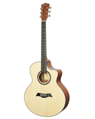 DEVISER LS-120N акустическая гитара