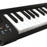 KORG microKEY 25, клавишный MIDI-контроллер, 25 мини-клавиш