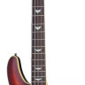 SCHECTER OMEN EXTREME-5 VSB 5-струнная бас-гитара