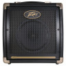 Комбоусилитель Peavey Ecoustic E20