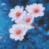 Картина по номерам 30х30 КАМЕЛИЯ (16 цветов)